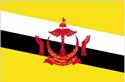Wellous Brunei BN